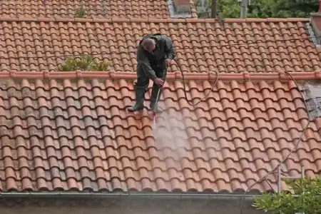 Nettoyage et démoussage de toiture à Saint-Girons-d'Aiguevives à Saint-Girons-d'Aiguevives